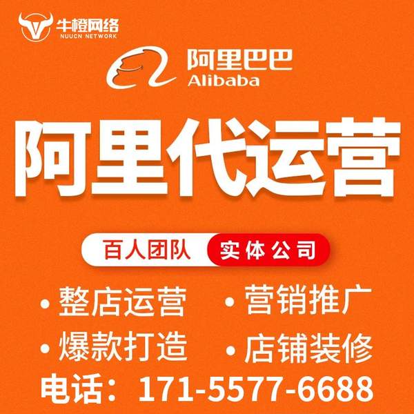 阳江电商代运营