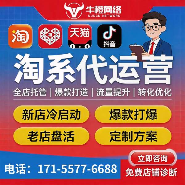 阳江电商代运营