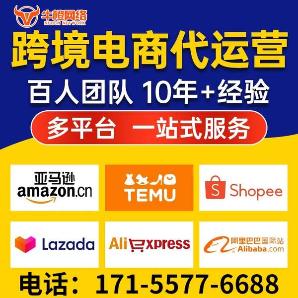阳江电商代运营