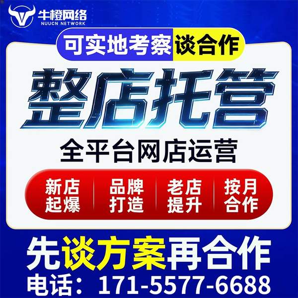 阳江电商代运营