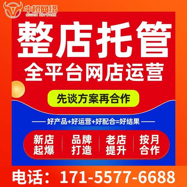 阳江电商代运营