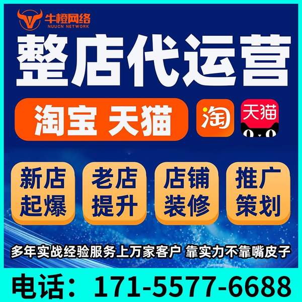 阳江电商代运营