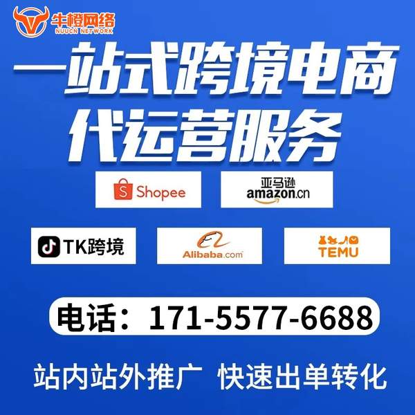 阳江电商代运营