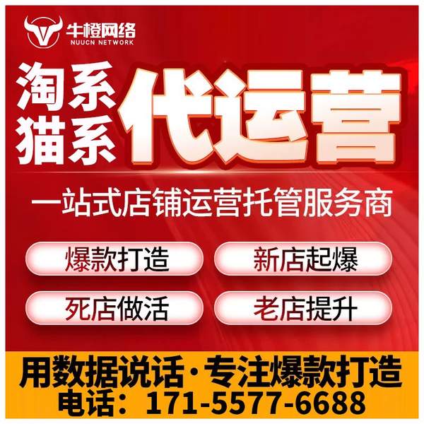 阳江电商代运营